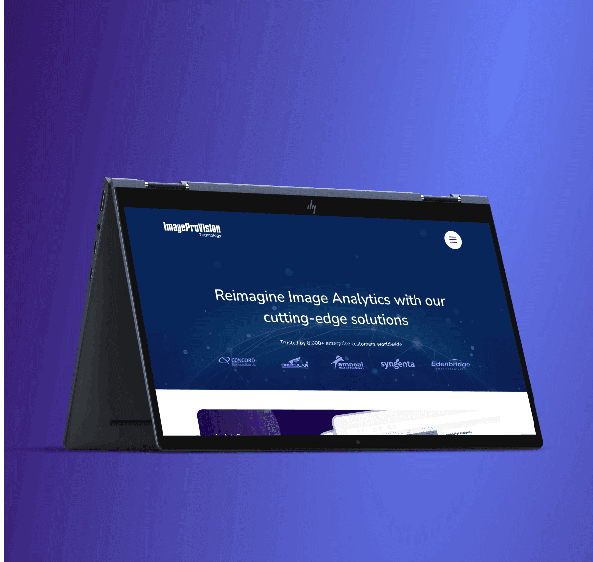 ImageProVision img-1