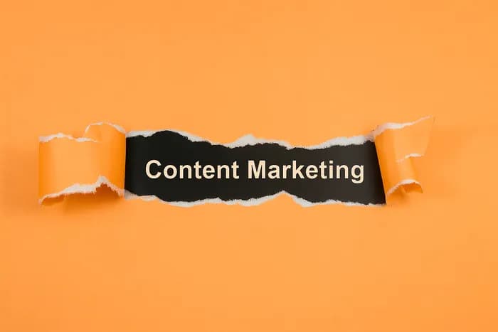 How Content Marketing Transformed Goldstab Organics’ Online Presence?