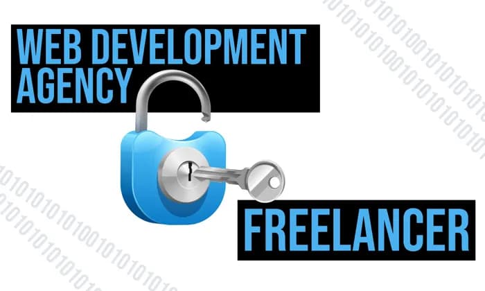 Decoding the Differences: web development agency vs. Freelancer